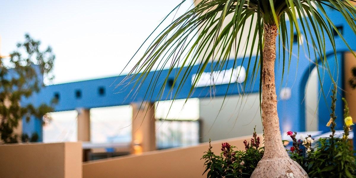 Almogim Suites Eilat Hotel (Adults Only) ภายนอก รูปภาพ